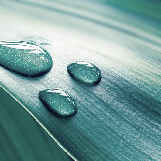 magazine-sisley-hydration-guide